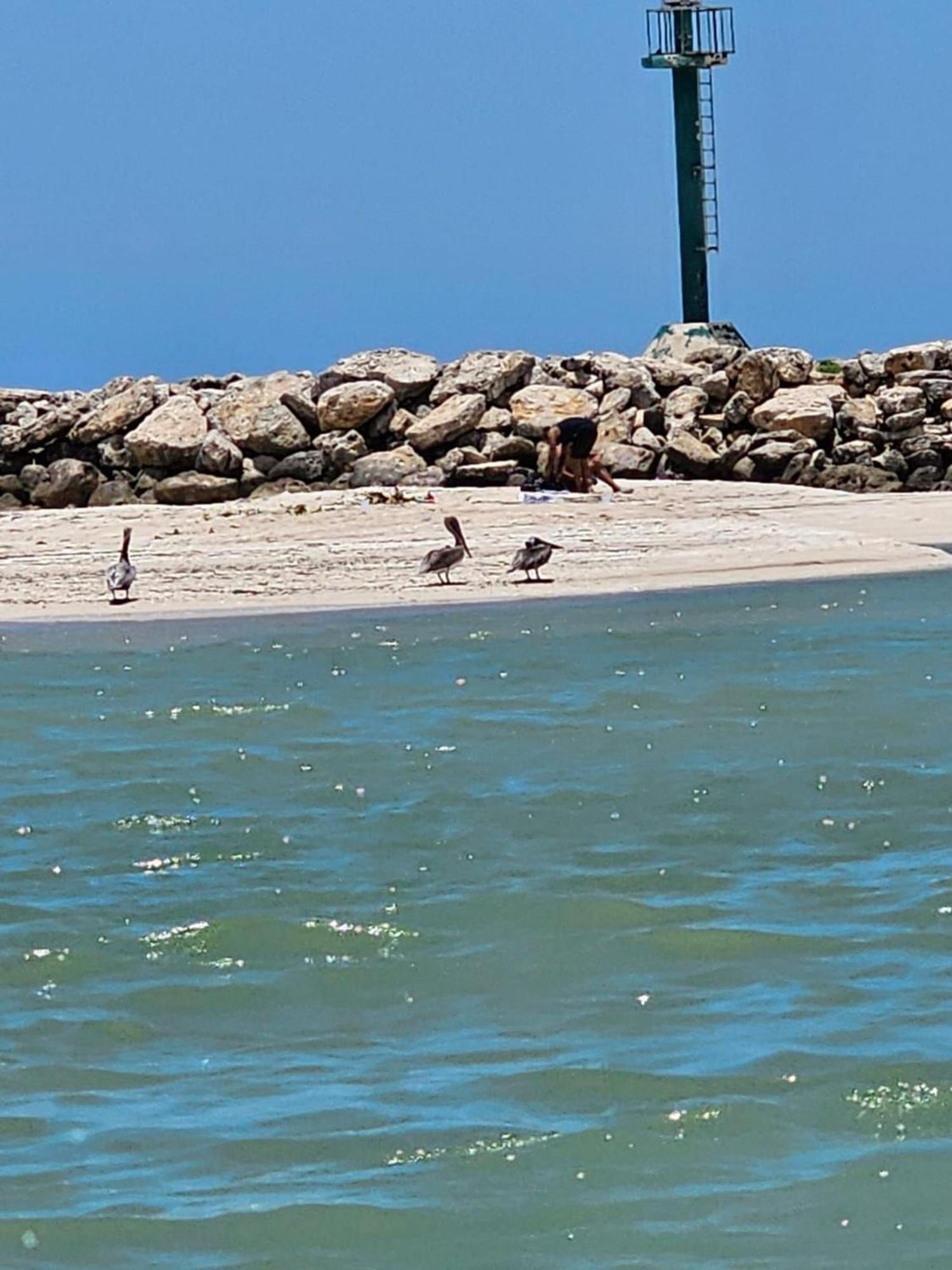 فيلا Porto Alto 35-Playa Del Carmen 1 المظهر الخارجي الصورة